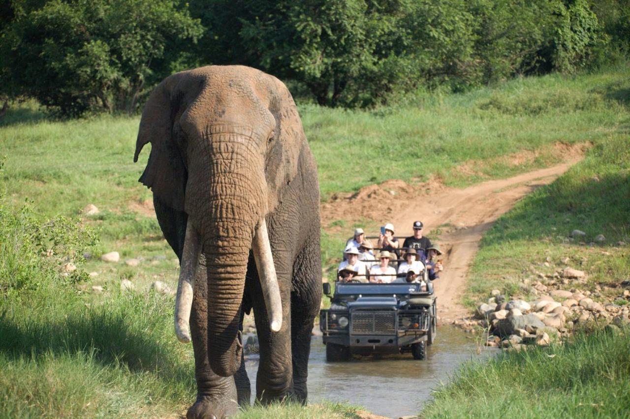 Karongwe Portfolio - Kuname Lodge Karongwe Game Reserve Экстерьер фото