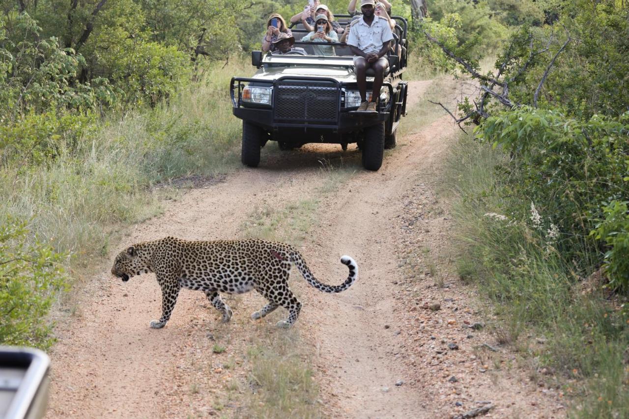 Karongwe Portfolio - Kuname Lodge Karongwe Game Reserve Экстерьер фото