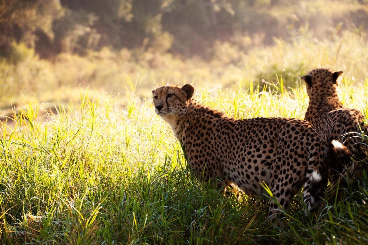 Karongwe Portfolio - Kuname Lodge Karongwe Game Reserve Экстерьер фото