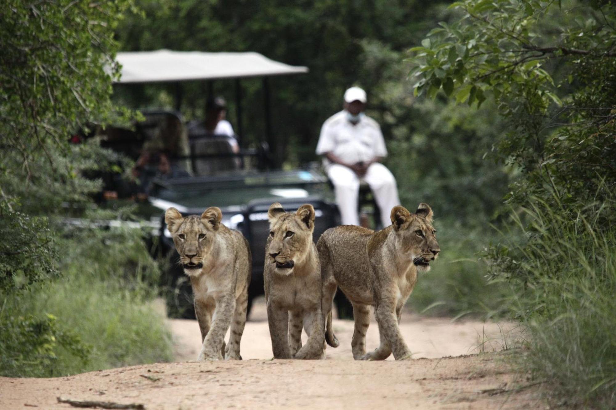Karongwe Portfolio - Kuname Lodge Karongwe Game Reserve Экстерьер фото